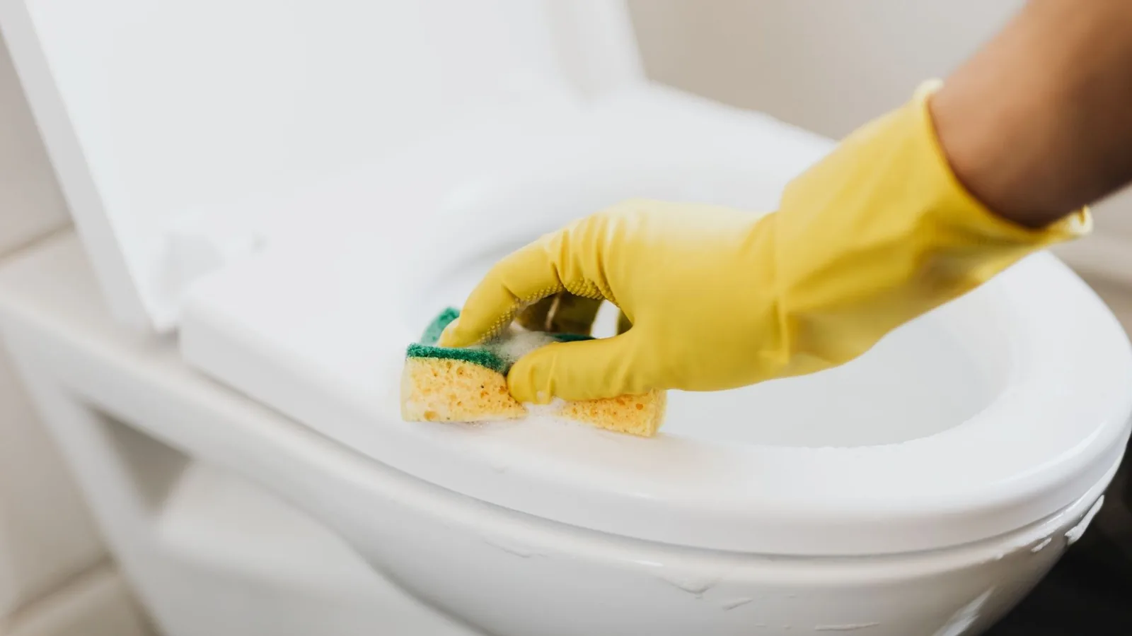 Bathroom sanitizing as part of house and deep cleaning service